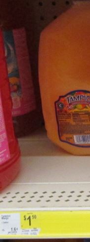 Tampico mango one gallon dg