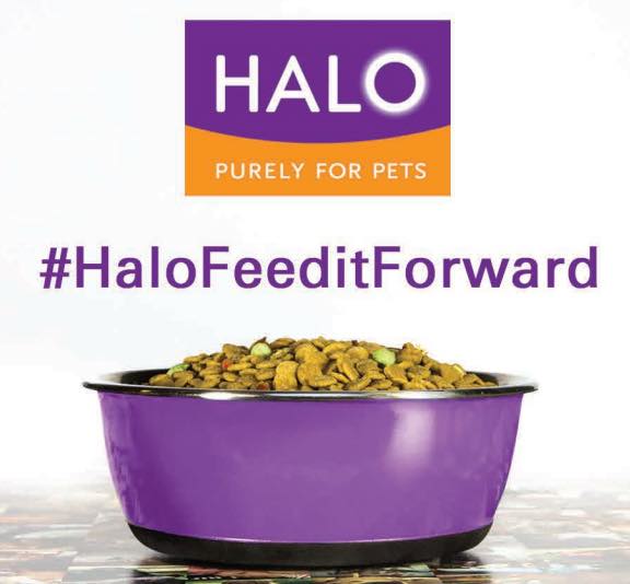 Halo Pet Products Printable Coupon