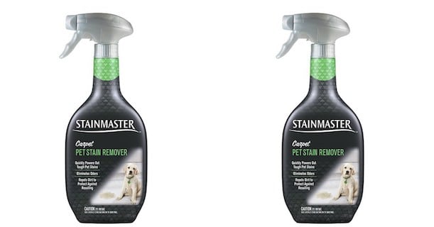 stainmaster-printable-coupon