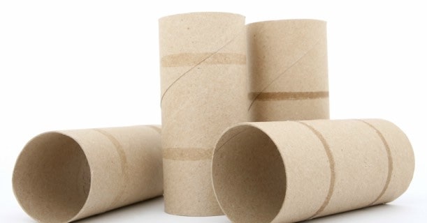 Empty Paper Product Rolls Bath Tissue Image