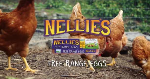 Nellie's Certified Free Range Eggs Image