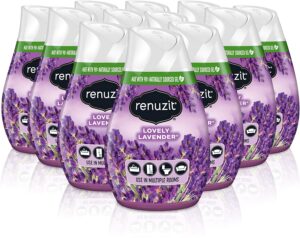 Renuzit Gel Air Freshener 12-Count Only .21 Shipped at Amazon!