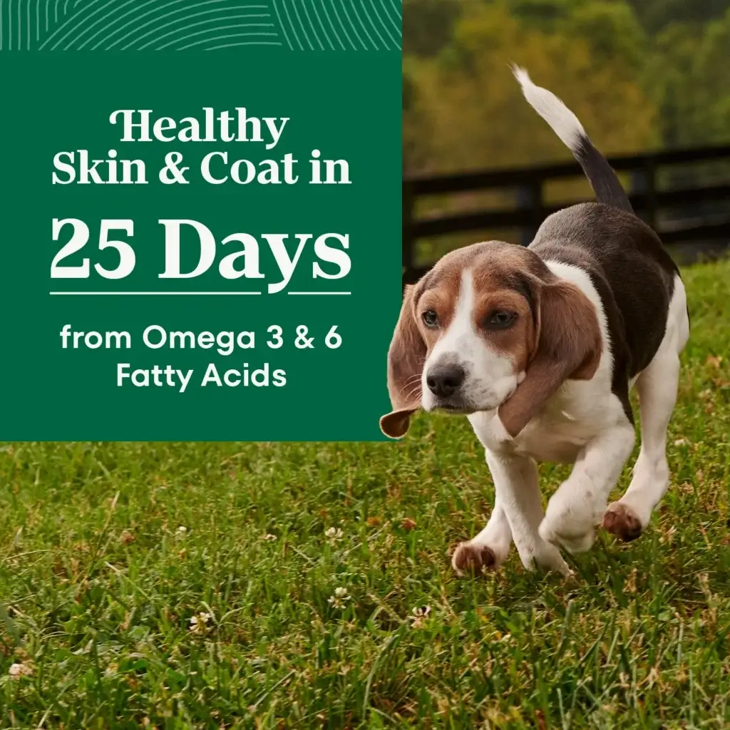 Walmart Pet Care Deals and Discounts (4.2.26)